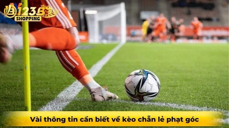 Vài thông tin cần biết về kèo chẵn lẻ phạt góc